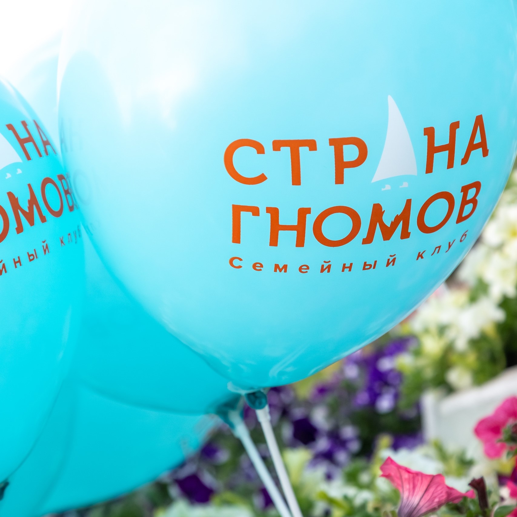 Центр «Страна гномов»