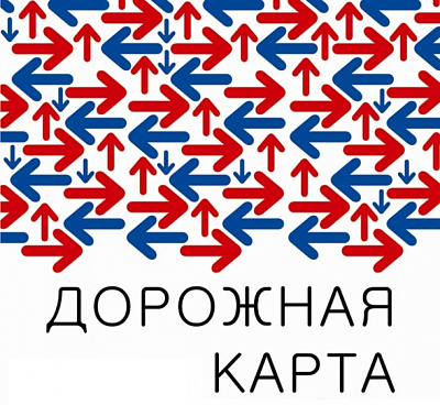 Представители СО НКО защитили «дорожные карты»