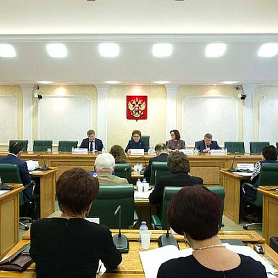 В Совете Федерации обсудили социальный франчайзинг